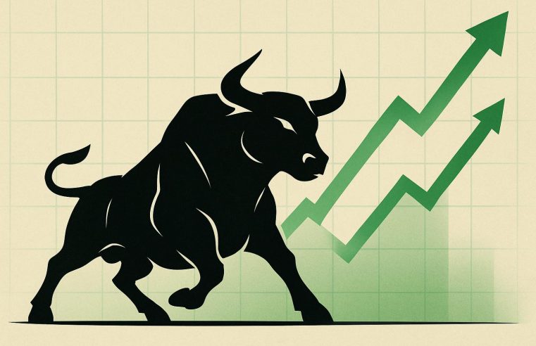 Bull Market Descomplicado: entenda o que é e como funciona