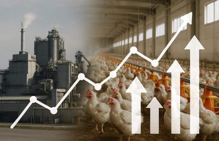 Santander ajusta recomendações de JBS, MBRF e Minerva diante de cenário de proteínas em 2026